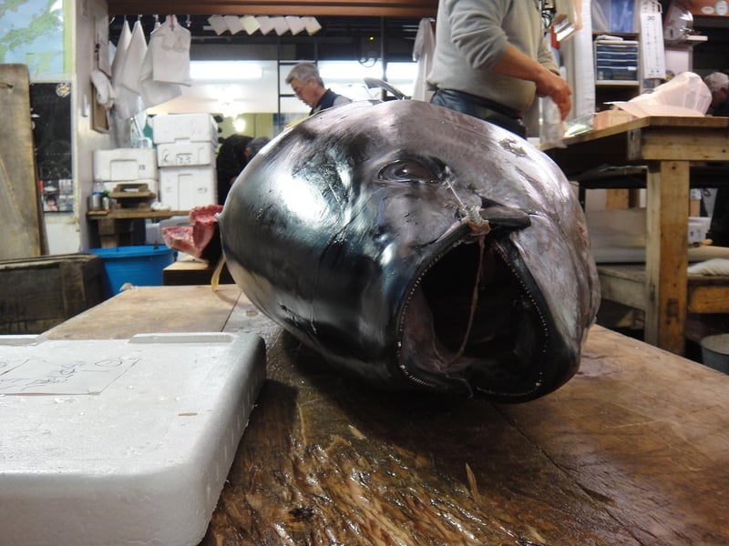 Tsukiji Fish Market